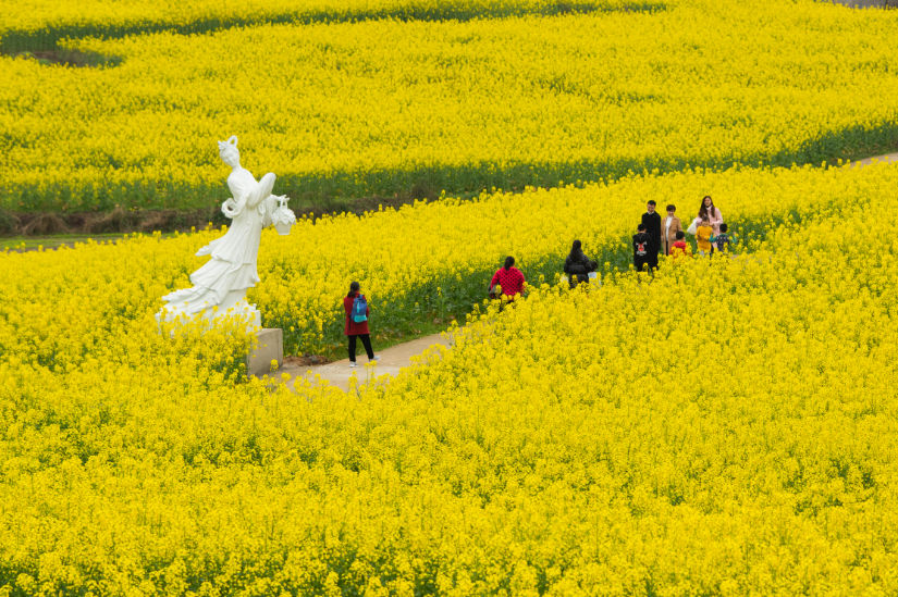 灌湖水乡景区