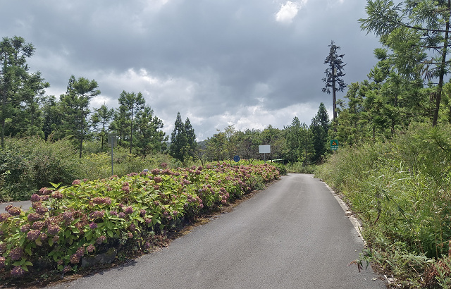 环城公园玉祥门景区南区(东门)