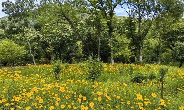 太行山区第二军分区司令部旧址