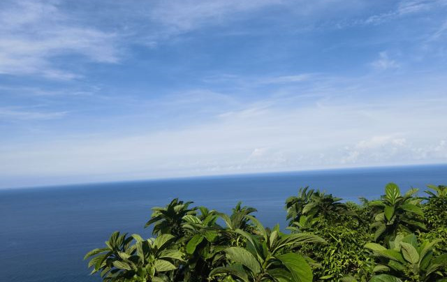 苍龙山原始森林公园