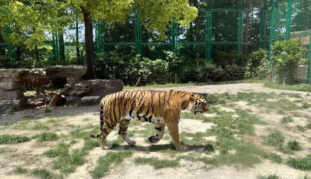 上海野生动物园