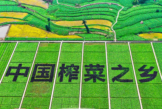 涪陵區(qū)