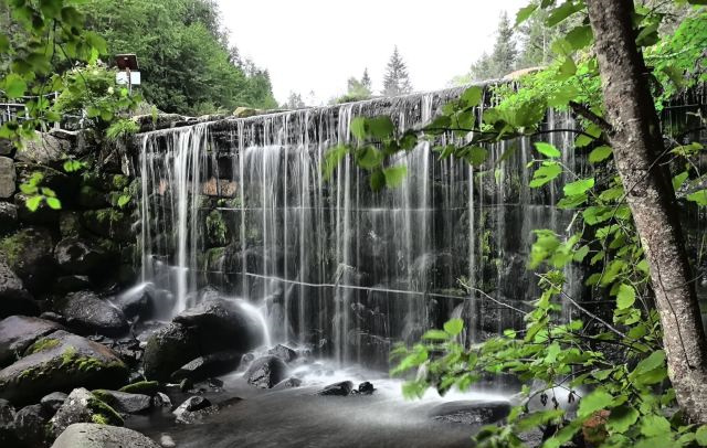 汤旺河林海奇石风景区