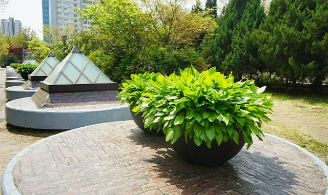 育空學院