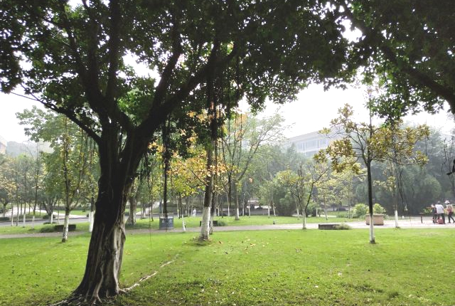 薩斯喀徹溫大學(xué)
