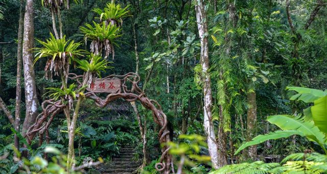 海南百花嶺熱帶雨林文化旅游區(qū)