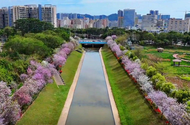 鵝頸水濕地公園