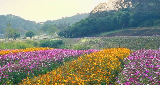 恩上濕地公園