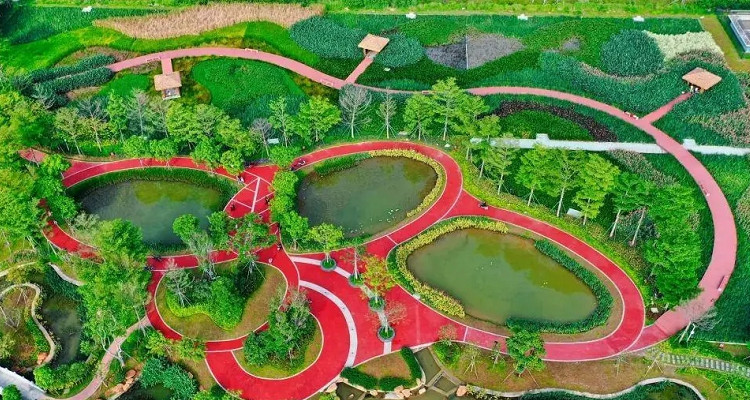 鵝頸水濕地公園