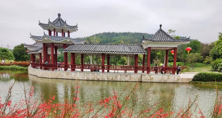 龍崗河濕地公園
