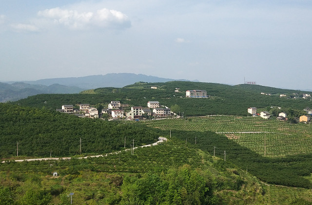 中國柑橘城