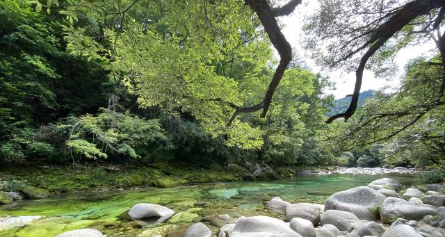 黄柏塬原生态风景区