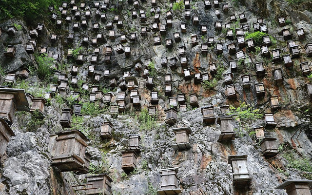 官門山