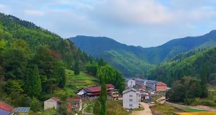 羅垟村