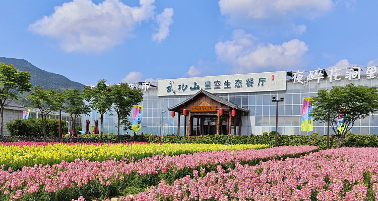 武功山花涧里