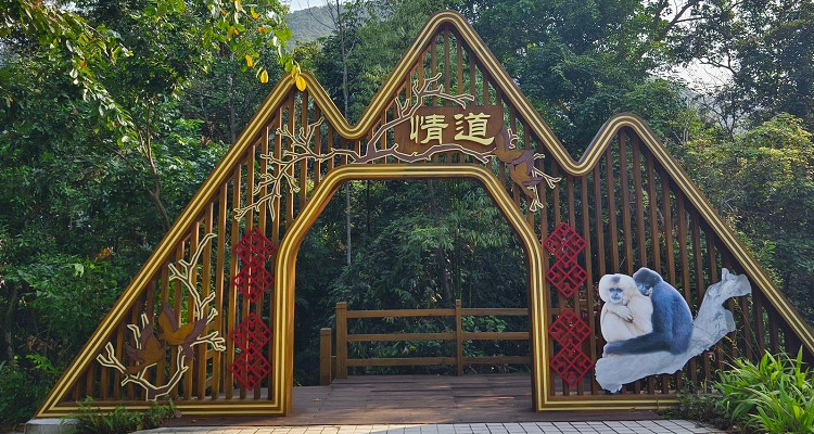 霸王岭