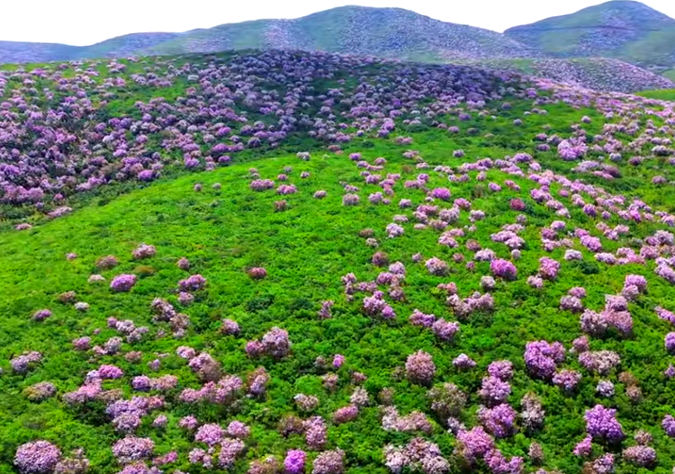昭覺縣旅游景點(diǎn)有哪些？四川涼山州昭覺十大旅游景點(diǎn)推薦（附攻略圖片）
