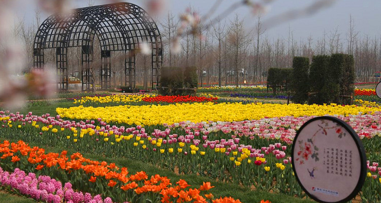 賽石沂水花朝園