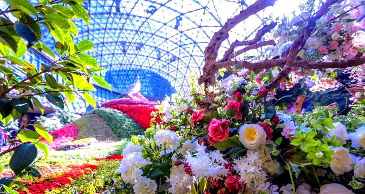 花之城