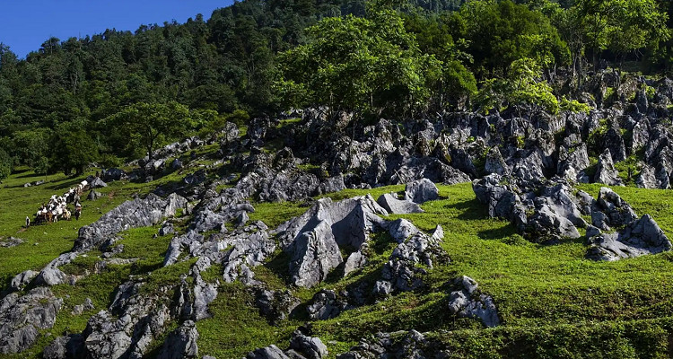 马边县大王山