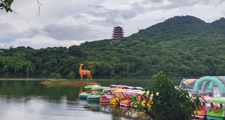 清溪大王山森林公园
