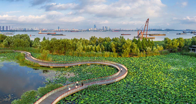 浦口濱江濕地公園