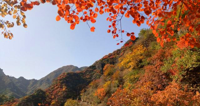 白银坨旅游风景区