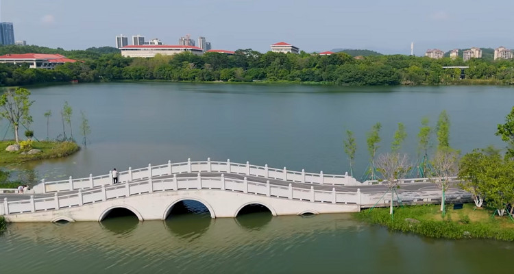 荔湖公園