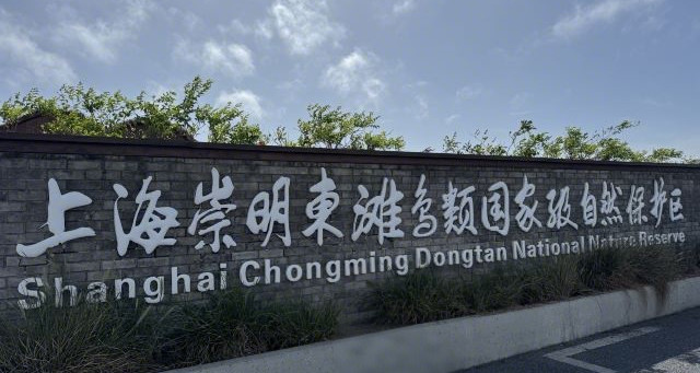 東灘鳥類國家級自然保護(hù)區(qū)