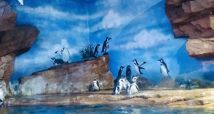 海合安武漢極地海洋公園