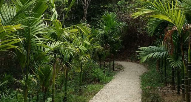 五指山翡翠公园