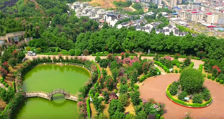 紫薇公園
