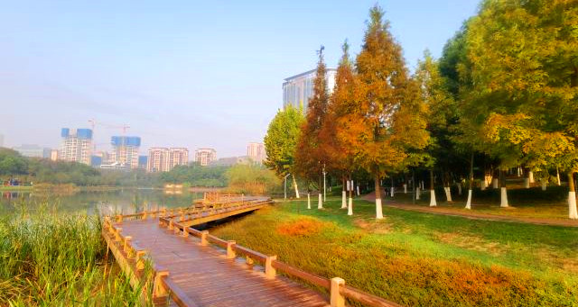 愛(ài)蓮池公園