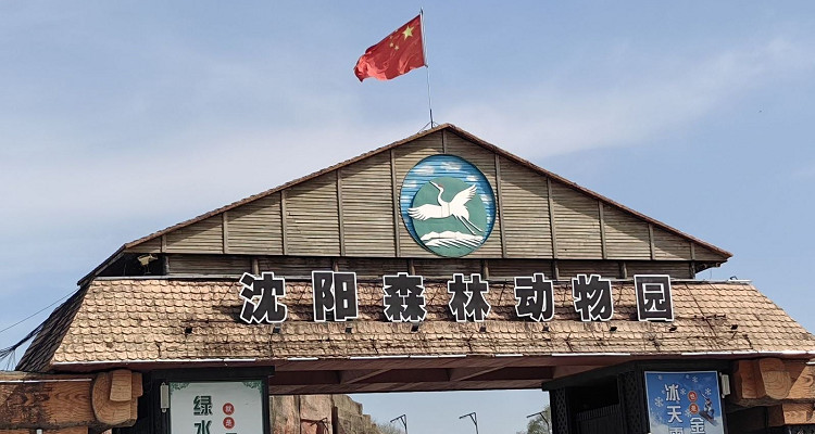沈陽森林動(dòng)物園