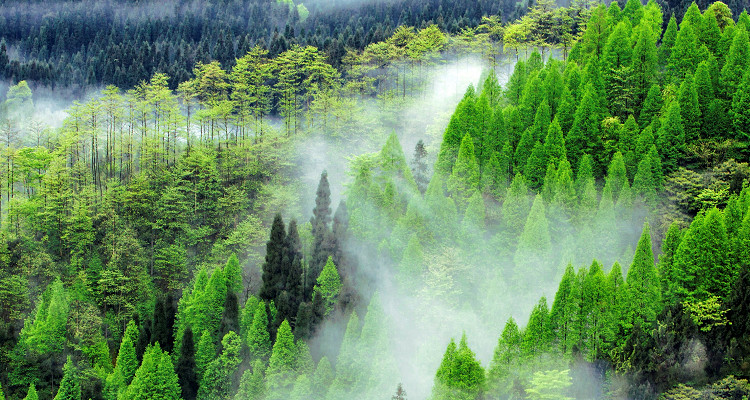 四川瓦屋山国家森林公园