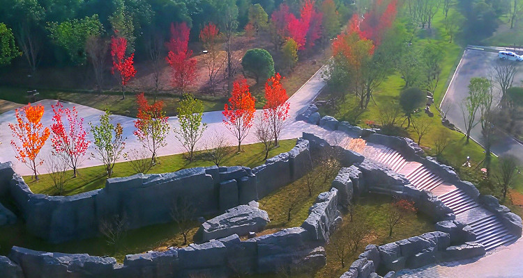 打纸岩森林公园