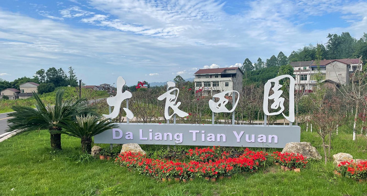 大良田园旅游度假区