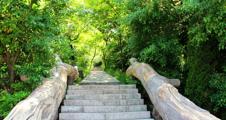 大连金龙寺国家森林公园