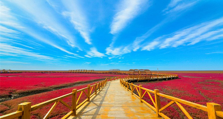 红海滩国家风景廊道
