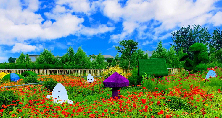 盘锦伊珂亚蟹蟹王国