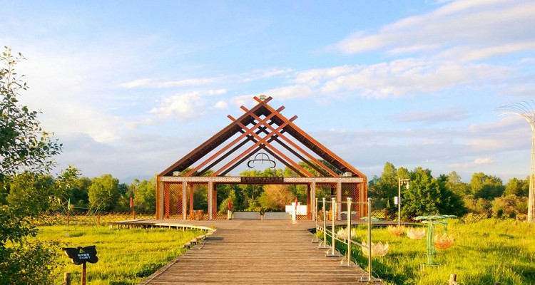 湿地古杨风景区