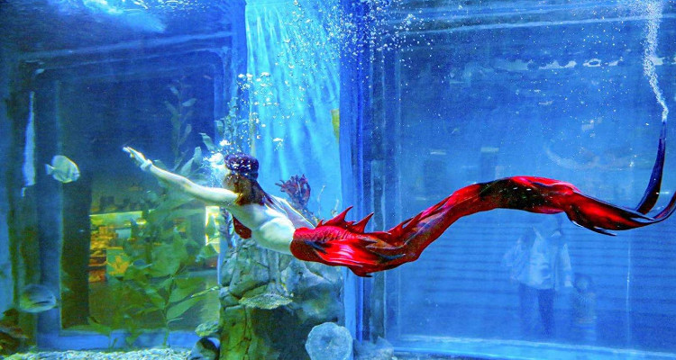 海之语海洋世界