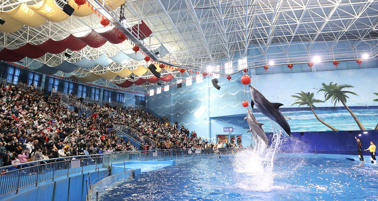 多彩贵州城极地海洋世界