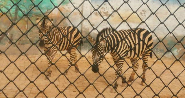 亳州野生动物园