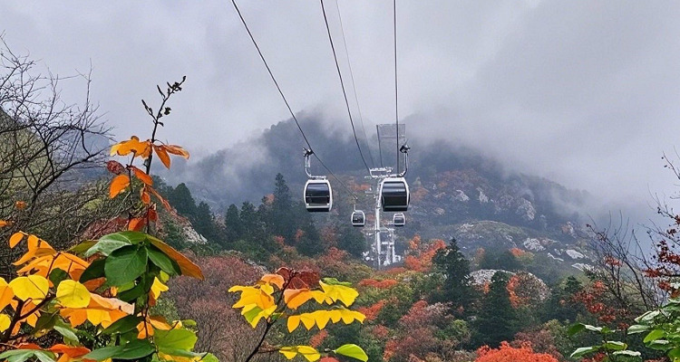 紫金山索道‌