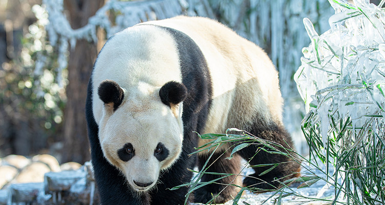 济南野生动物世界