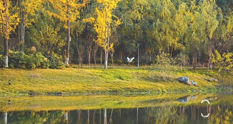 德溪湿地公园