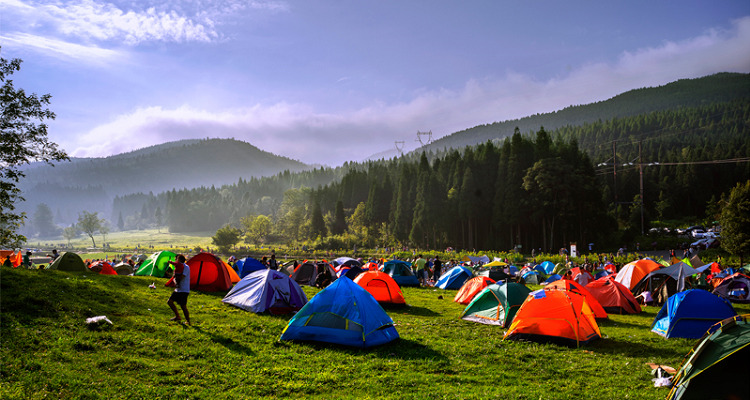 武陵山国家森林公园