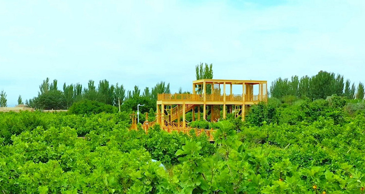 阿孜汗无花果民俗文化旅游景区